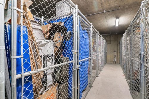 2209-950 Arbour Lake Road Nw, Calgary, AB - Indoor With Storage