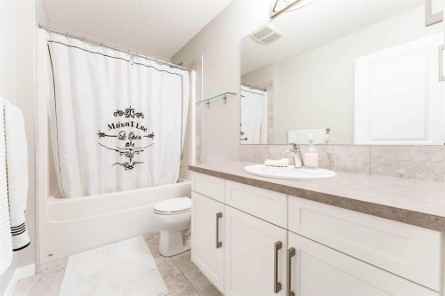 359 Sunrise View, Cochrane, AB - Indoor Photo Showing Bathroom