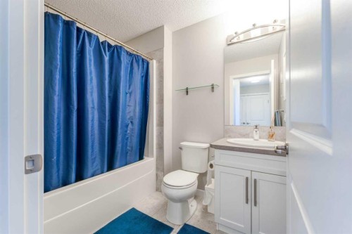 359 Sunrise View, Cochrane, AB - Indoor Photo Showing Bathroom