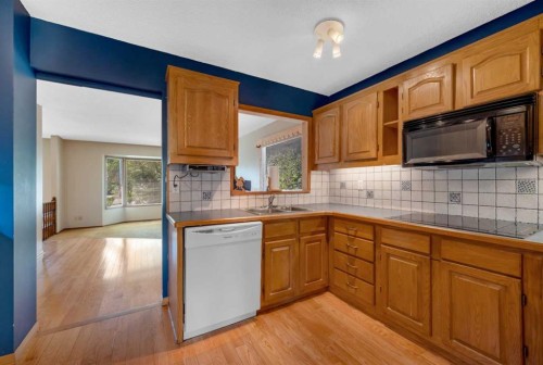 124 Macewan Drive Nw, Calgary, AB - Indoor Photo Showing Kitchen With Double Sink
