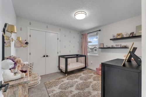 202 Kinniburgh Crescent, Chestermere, AB - Indoor