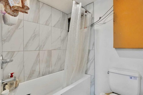 95 Castlegreen Close Ne, Calgary, AB - Indoor Photo Showing Bathroom