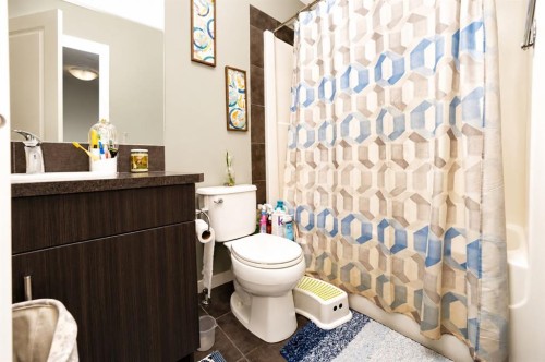 146 Skyview Point Crescent Ne, Calgary, AB - Indoor Photo Showing Bathroom
