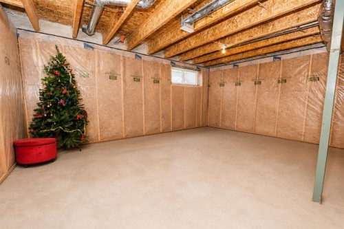 146 Skyview Point Crescent Ne, Calgary, AB - Indoor Photo Showing Basement
