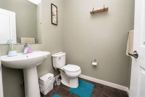 146 Skyview Point Crescent Ne, Calgary, AB - Indoor Photo Showing Bathroom