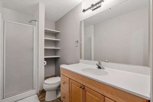 19 Citadel Ridge Close Nw, Calgary, AB - Indoor Photo Showing Bathroom