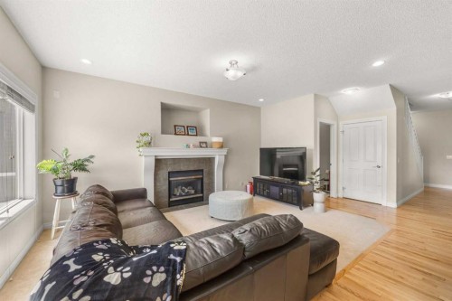 35 Covepark Place Ne, Calgary, AB - Indoor Photo Showing Living Room With Fireplace
