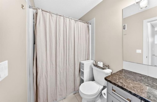 58 Precedence Link, Cochrane, AB - Indoor Photo Showing Bathroom