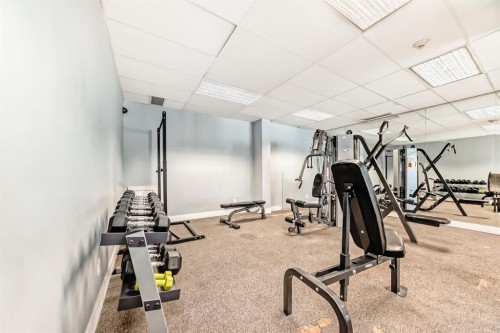 112-4944 Dalton Drive Nw, Calgary, AB - Indoor Photo Showing Gym Room