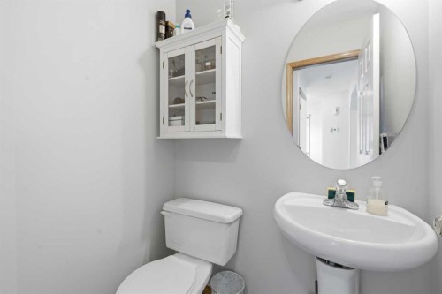161 Saddlemead Road Ne, Calgary, AB - Indoor Photo Showing Bathroom