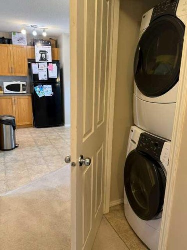 270 Saddlebrook Point Ne, Calgary, AB - Indoor Photo Showing Laundry Room