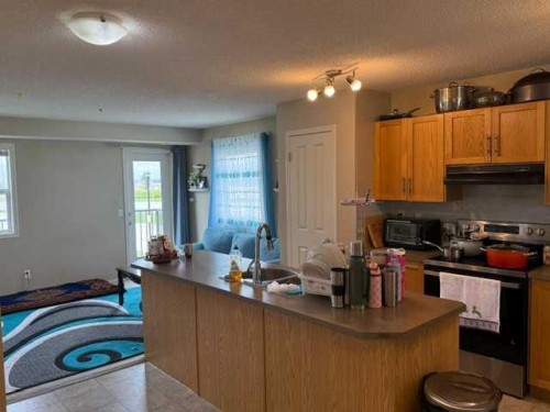 270 Saddlebrook Point Ne, Calgary, AB - Indoor Photo Showing Kitchen