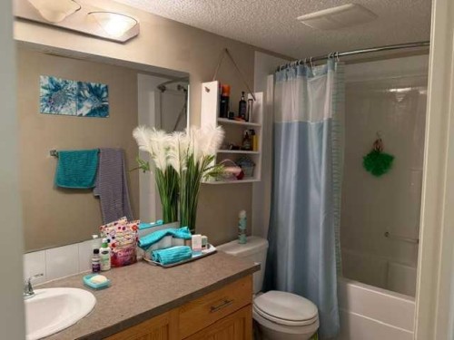 270 Saddlebrook Point Ne, Calgary, AB - Indoor Photo Showing Bathroom