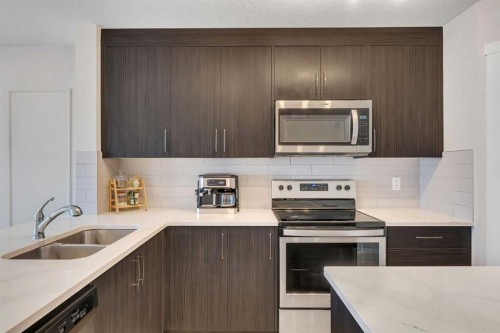 124-31 Red Embers Parade Ne, Calgary, AB - Indoor Photo Showing Kitchen With Double Sink With Upgraded Kitchen
