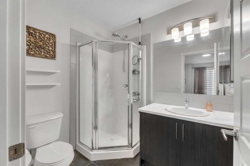 124-31 Red Embers Parade Ne, Calgary, AB - Indoor Photo Showing Bathroom