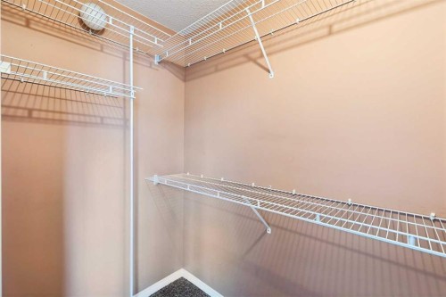 33 Chaparral Ridge Terrace Se, Calgary, AB - Indoor With Storage