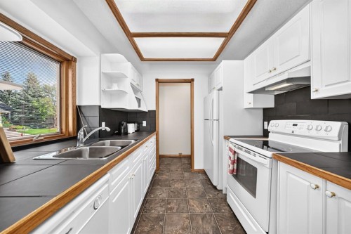 8 Sunlake Close Se, Calgary, AB - Indoor Photo Showing Kitchen With Double Sink