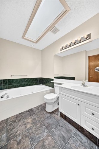 8 Sunlake Close Se, Calgary, AB - Indoor Photo Showing Bathroom