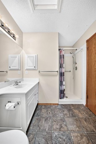 8 Sunlake Close Se, Calgary, AB - Indoor Photo Showing Bathroom