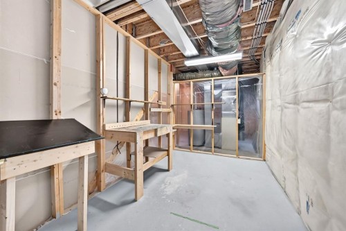 8 Sunlake Close Se, Calgary, AB - Indoor Photo Showing Basement