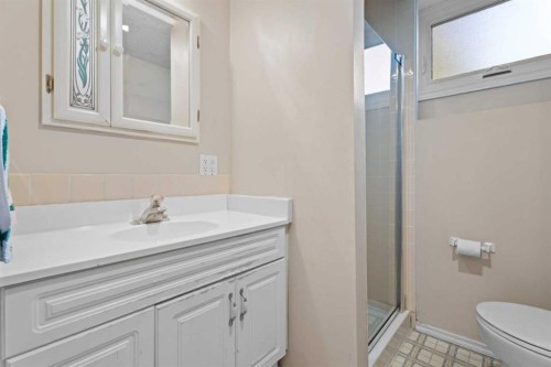 71 Templewood Road Ne, Calgary, AB - Indoor Photo Showing Bathroom