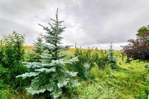 144 Cougarstone Common Sw, Calgary, AB - Outdoor