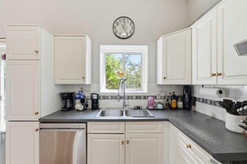 271 Erin Meadow Close Se, Calgary, AB - Indoor Photo Showing Kitchen With Double Sink