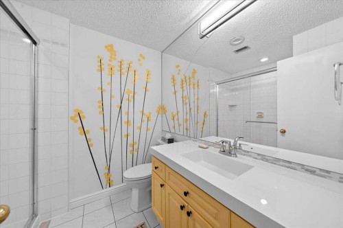 2410-202 Braeglen Close Sw, Calgary, AB - Indoor Photo Showing Bathroom