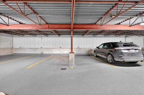 2410-202 Braeglen Close Sw, Calgary, AB - Indoor Photo Showing Garage