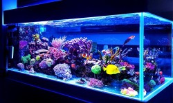 123 Fish Store Avenue NW Calgary, AB T2M 2W3