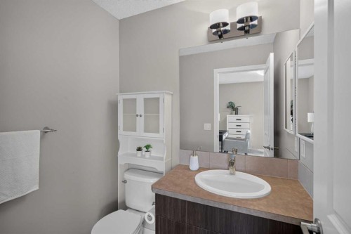 211 Skyview Point Road Ne, Calgary, AB - Indoor Photo Showing Bathroom