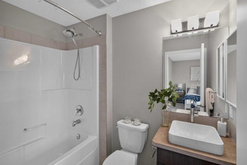 211 Skyview Point Road Ne, Calgary, AB - Indoor Photo Showing Bathroom