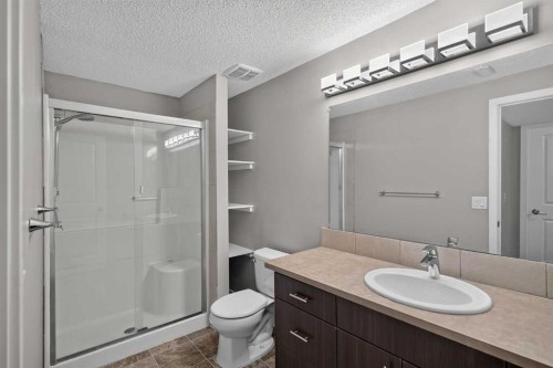 211 Skyview Point Road Ne, Calgary, AB - Indoor Photo Showing Bathroom