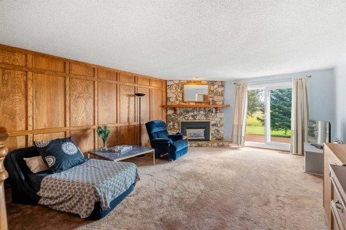 84 Deermoss Crescent Se, Calgary, AB - Indoor Photo Showing Living Room With Fireplace