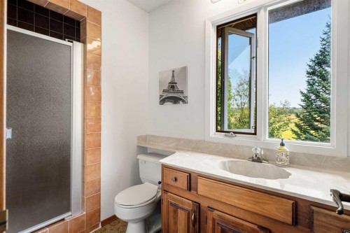 84 Deermoss Crescent Se, Calgary, AB - Indoor Photo Showing Bathroom