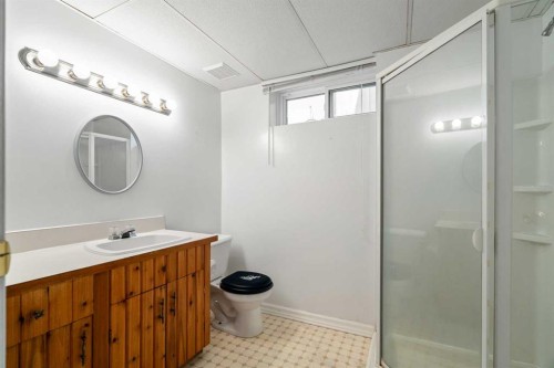 84 Deermoss Crescent Se, Calgary, AB - Indoor Photo Showing Bathroom