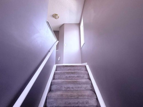 111 Martin Crossing Grove Ne, Calgary, AB 