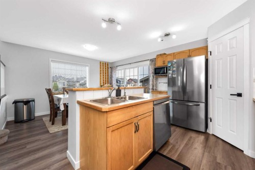 2 Saddlefield Crescent Ne, Calgary, AB - Indoor Photo Showing Kitchen With Double Sink