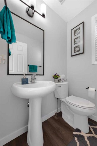 2 Saddlefield Crescent Ne, Calgary, AB - Indoor Photo Showing Bathroom