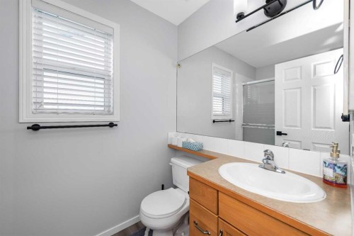 2 Saddlefield Crescent Ne, Calgary, AB - Indoor Photo Showing Bathroom