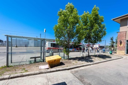 2 Saddlefield Crescent Ne, Calgary, AB - Outdoor