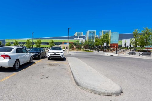 2 Saddlefield Crescent Ne, Calgary, AB - Outdoor