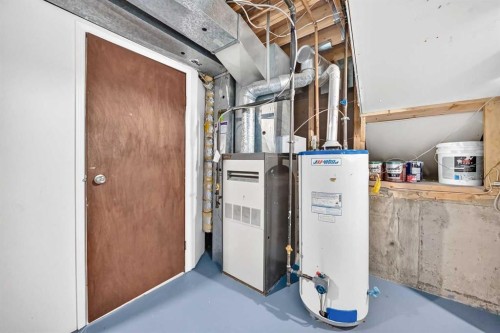 19 Falshire Drive Ne, Calgary, AB - Indoor Photo Showing Basement