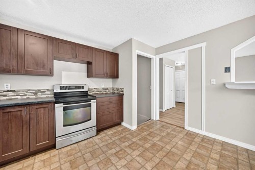 19 Falshire Drive Ne, Calgary, AB - Indoor Photo Showing Kitchen