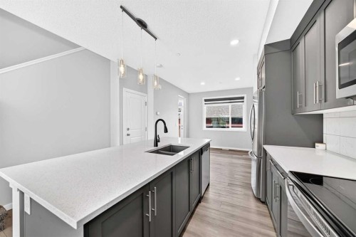 97 Herron Mews Ne, Calgary, AB - Indoor Photo Showing Kitchen With Double Sink With Upgraded Kitchen