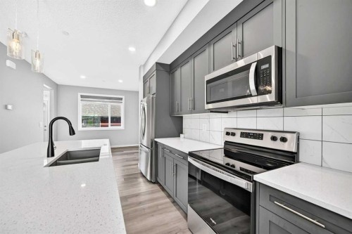 97 Herron Mews Ne, Calgary, AB - Indoor Photo Showing Kitchen With Double Sink With Upgraded Kitchen