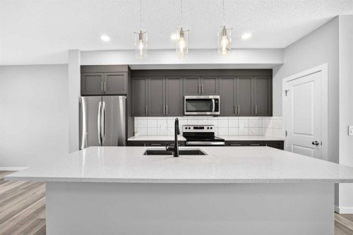 97 Herron Mews Ne, Calgary, AB - Indoor Photo Showing Kitchen With Upgraded Kitchen