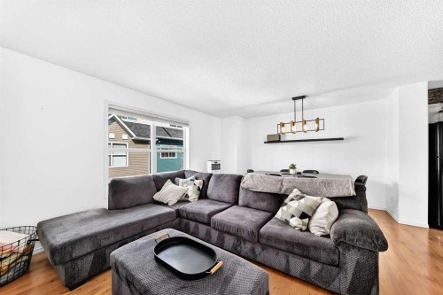 252 Mckenzie Towne Link Se, Calgary, AB - Indoor Photo Showing Living Room