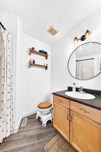 252 Mckenzie Towne Link Se, Calgary, AB - Indoor Photo Showing Bathroom