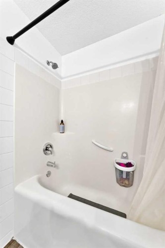 252 Mckenzie Towne Link Se, Calgary, AB - Indoor Photo Showing Bathroom
